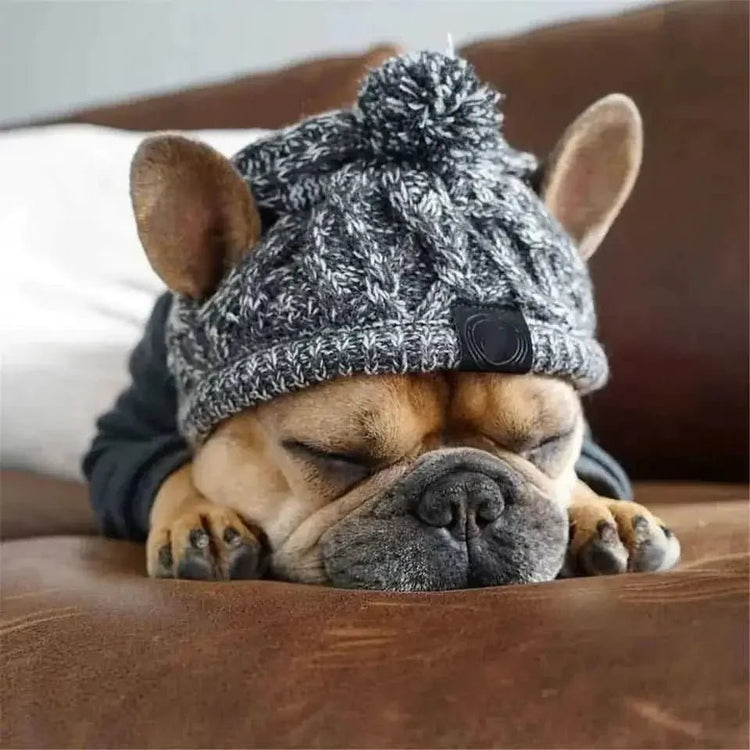 French bulldog sleeping on a couch wearing a cozy knit dog hat with a pom-pom