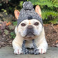 French bulldog wearing a cozy knit dog hat with pom-pom, outdoors on stone path