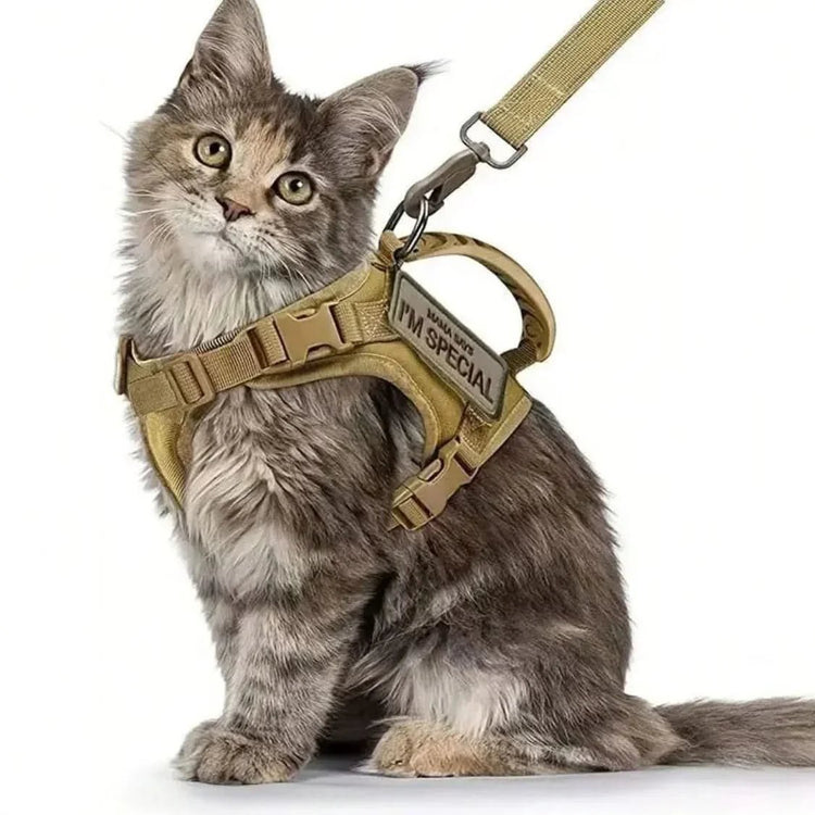 Cat Walking Harness with Secure Chest Strap - PawsiFypets