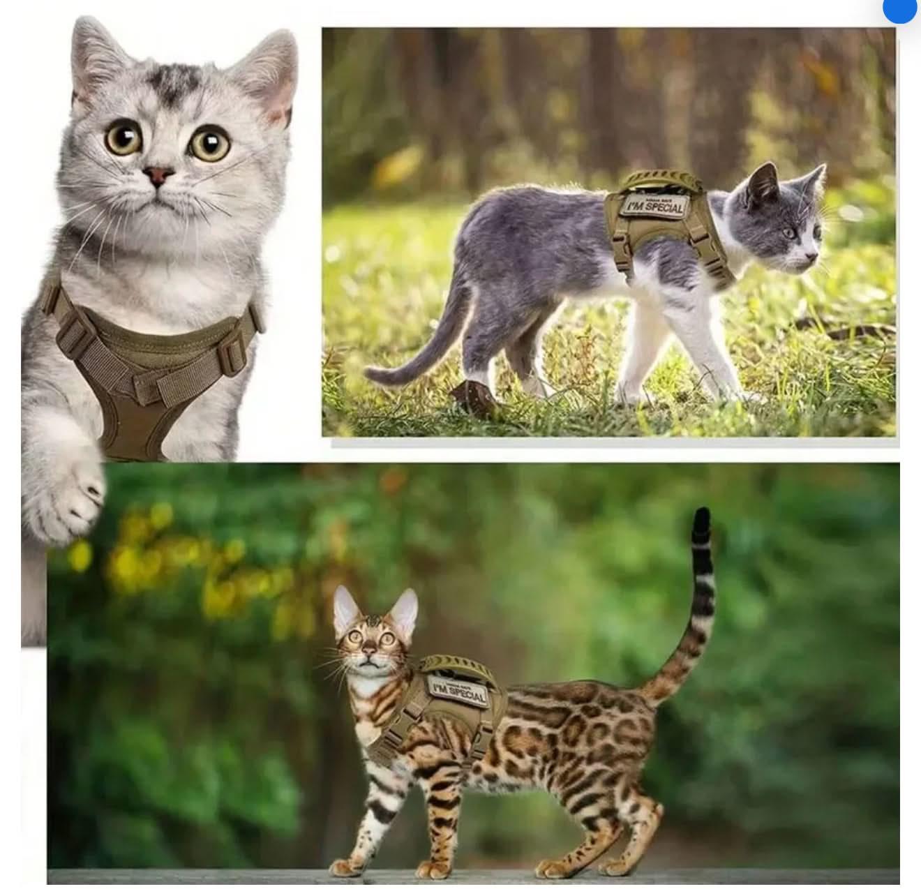 Cat Walking for Harness with Secure Chest Strap for kitten and cats - PawsiFypets