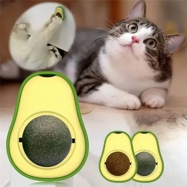 Tabby cat next to avocado-shaped catnip toy, interactive cat toy for playful cats