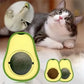 Tabby cat next to avocado-shaped catnip toy, interactive cat toy for playful cats