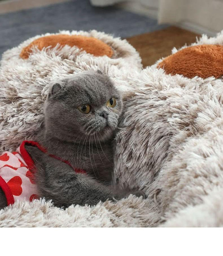 Gray cat in cozy plush pet bed with heart-patterned clothing