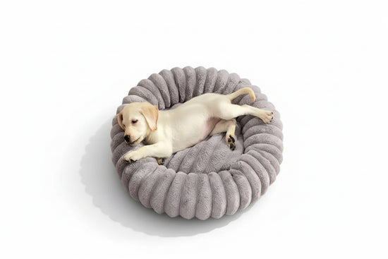 Cozy Cloud Plush Pet Bed - PawsiFypets