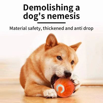 Interactive Smart Pet Toy Ball - USB Rechargeable Motion-Activated Dog Cat Toy - PawsiFypets Interactive Pet Toys - Jumping Ball Blue PawsiFypets