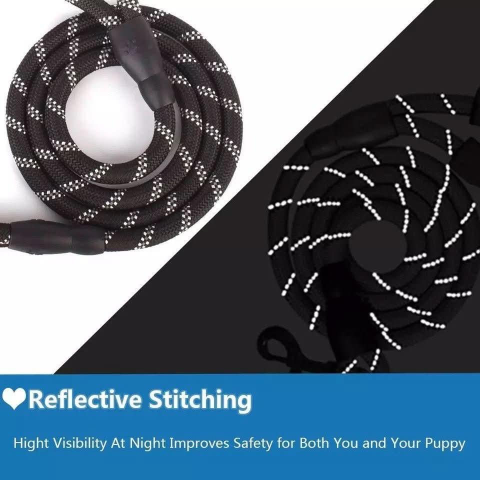 Reflective dog leash with high-visibility stitching for safe nighttime walks.