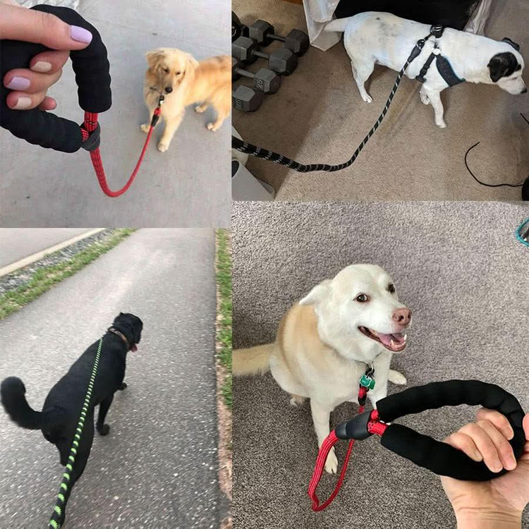 Dogs on walks with glowing reflective leashes, soft padded handles visible in hand