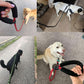 Dogs on walks with glowing reflective leashes, soft padded handles visible in hand