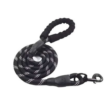 Glowing Dog Leash: for Nighttime Walks - PawsiFypets