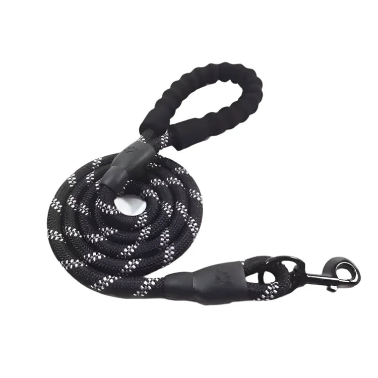 Glowing Dog Leash: for Nighttime Walks - PawsiFypets