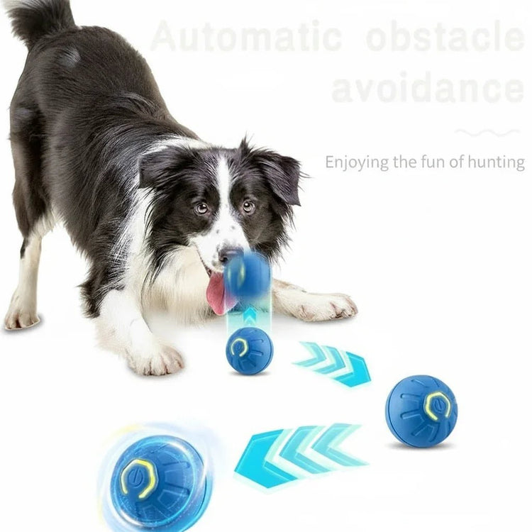 Interactive Smart Pet Toy Ball USB Rechargeable Motion Activated - PawsiFypets