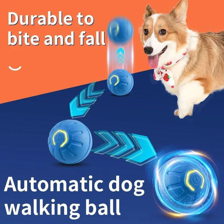 Interactive Smart Pet Toy Ball USB Rechargeable Motion Activated - PawsiFypets