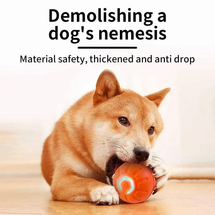 Interactive Smart Pet Toy Ball USB Rechargeable Motion Activated - PawsiFypets