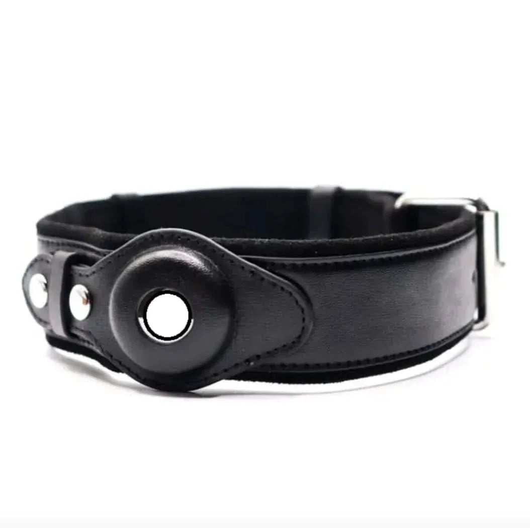 Black leather dog collar with GPS tracker holder and metal buckle, close-up view
