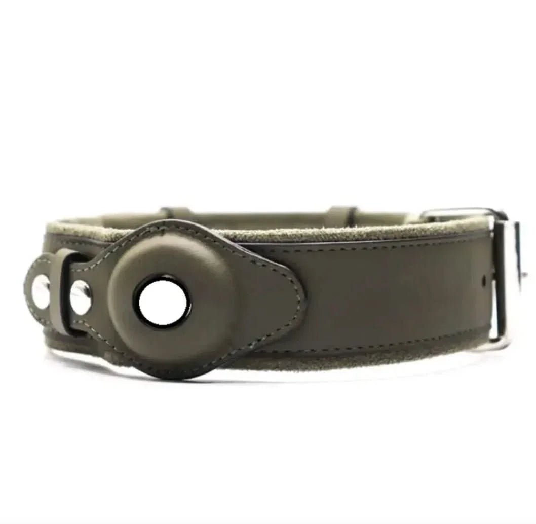 Brown leather dog collar with GPS tracker holder and metal buckle on white background