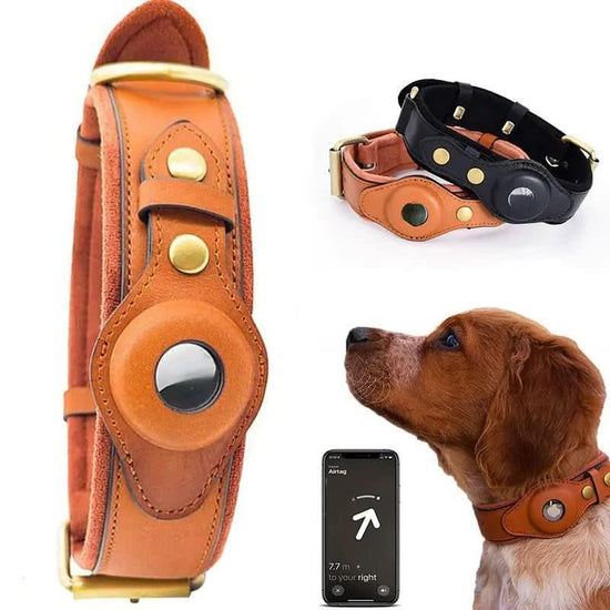 Leather GPS dog collar holder in brown and black, shown on a dog with tracking app.