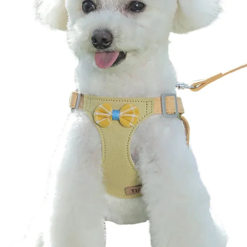 Small white dog wearing yellow harness with plaid bow tie and matching leash