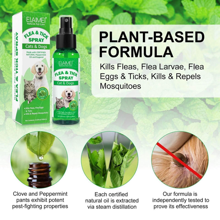 Natural Flea Tick Spray - Plant - Based Pet Parasite Treatment for Dogs & Cats - PawsiFypets