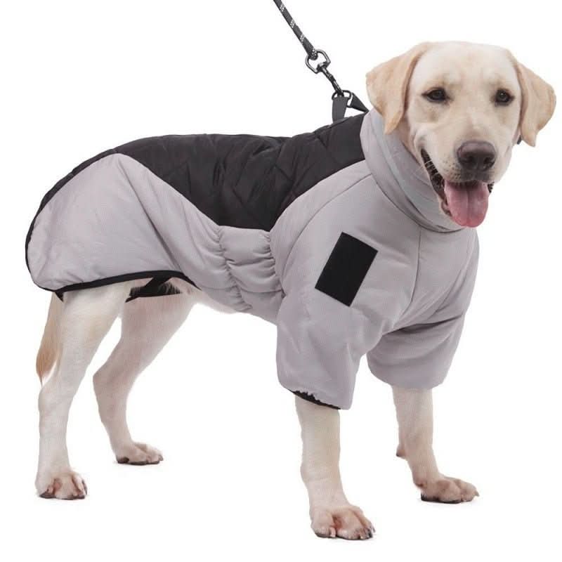 New Winter Dog Coat Waterproof - PawsiFypets Pet Outfit - Gray Black / S My Store