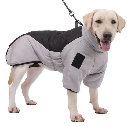 New Winter Dog Coat Waterproof - PawsiFypets Pet Outfit - Gray Black / S My Store
