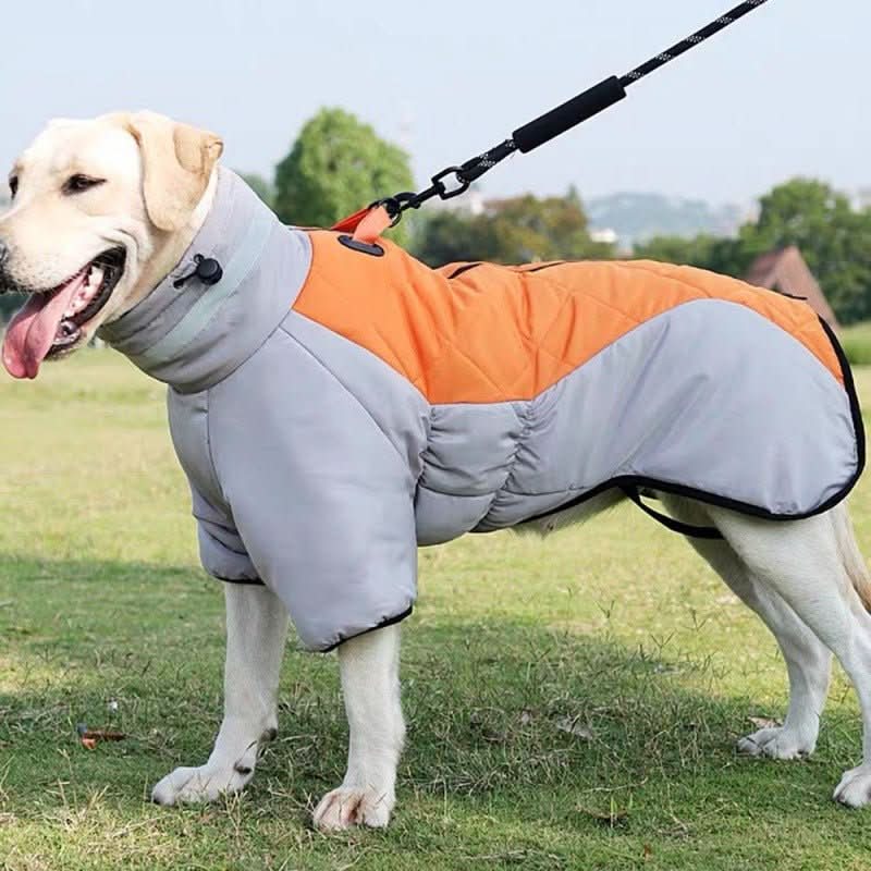 New Winter Dog Coat Waterproof - PawsiFypets Pet Outfit - Grey orange / S My Store