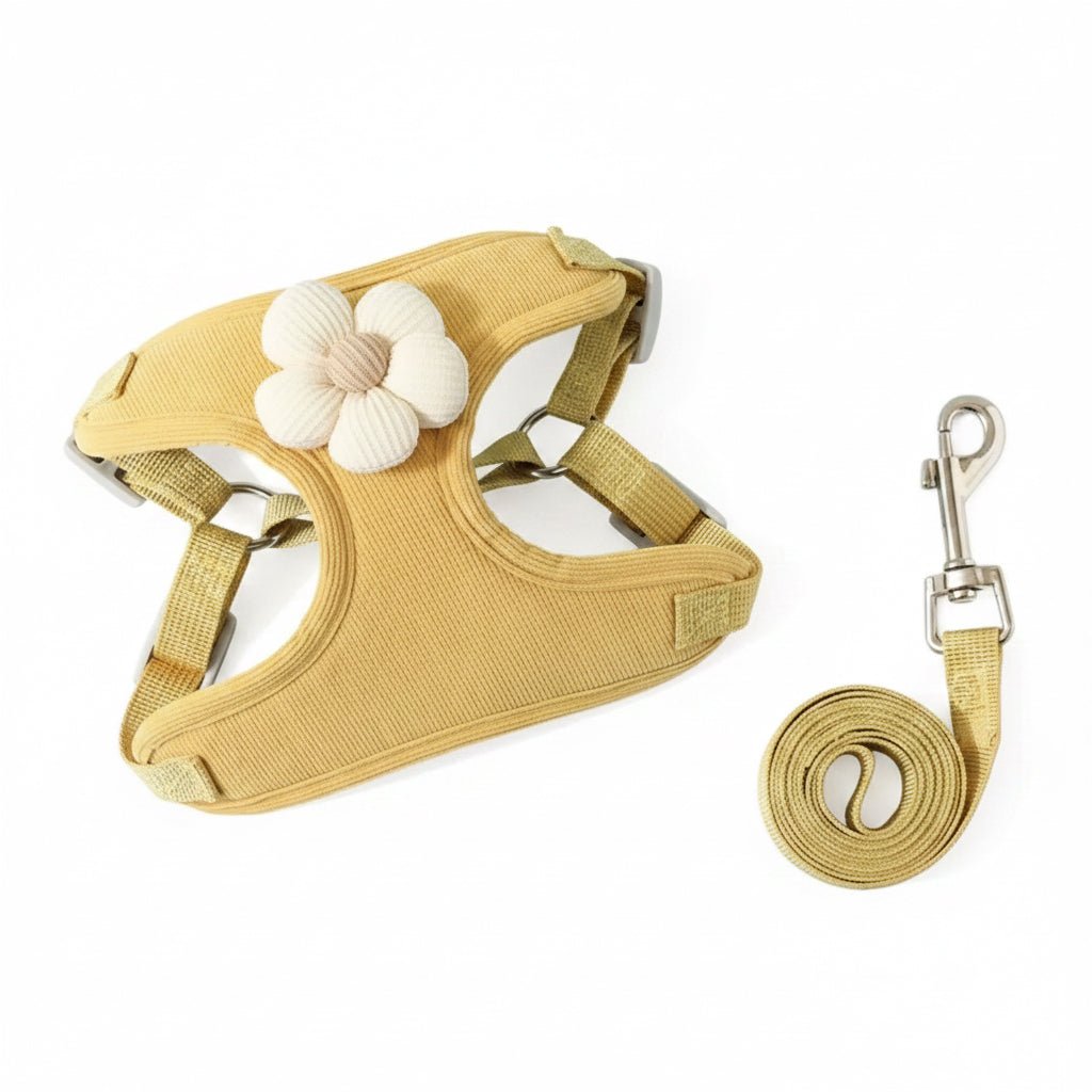 No - Pull Small Dog Harness & Matching Leash Set - PawsiFypets