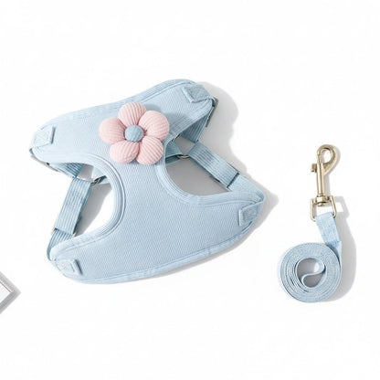 No - Pull Small Dog Harness & Matching Leash Set - PawsiFypets