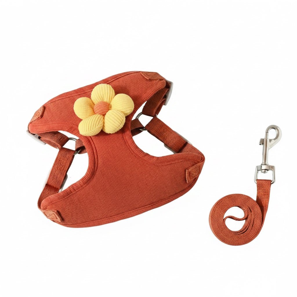 No - Pull Small Dog Harness & Matching Leash Set - PawsiFypets