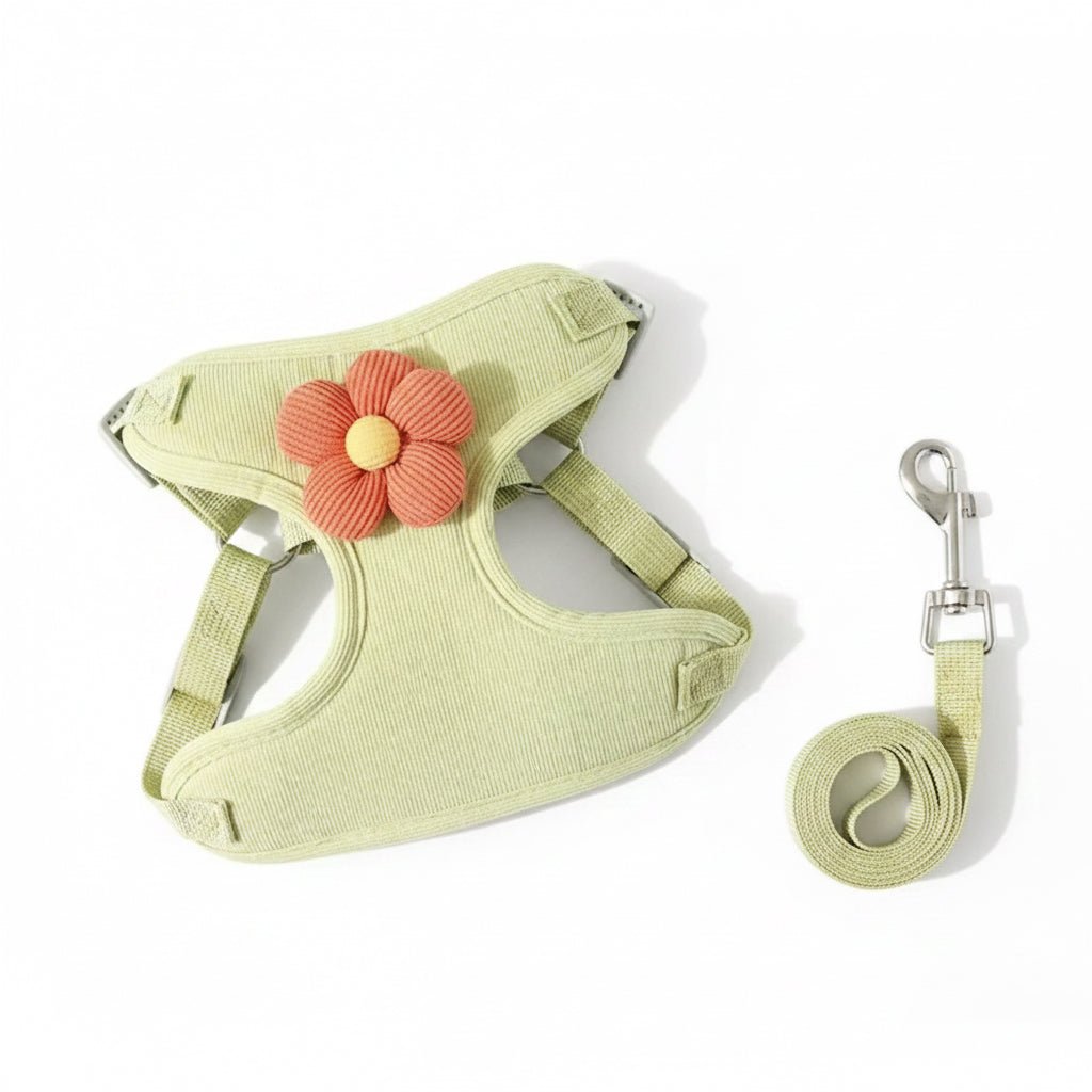 No - Pull Small Dog Harness & Matching Leash Set - PawsiFypets