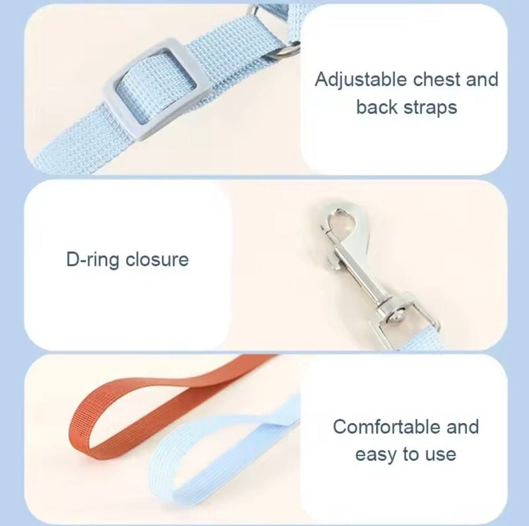 No - Pull Small Dog Harness & Matching Leash Set - PawsiFypets