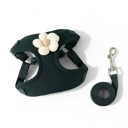 No - Pull Small Dog Harness & Matching Leash Set - PawsiFypets