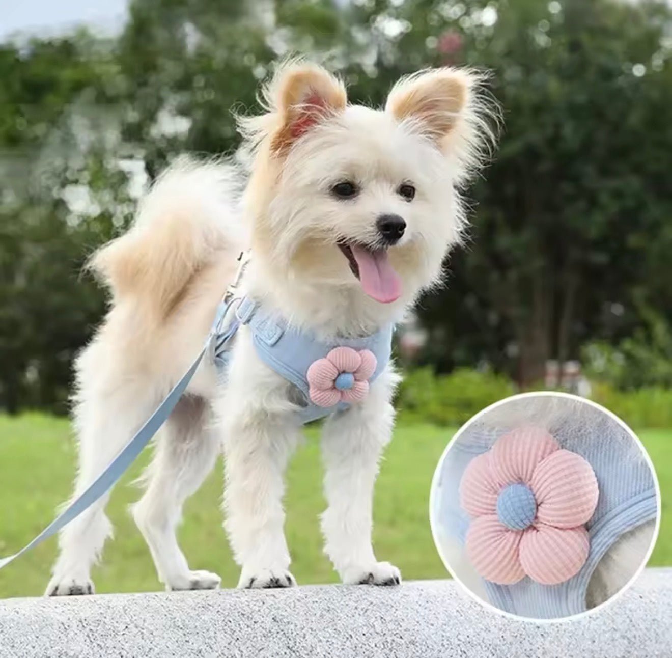 No-Pull Small Dog Harness & Matching Leash Set