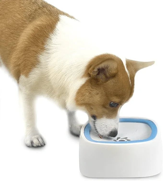 No Spill Pet Water Bowl - PawsiFypets
