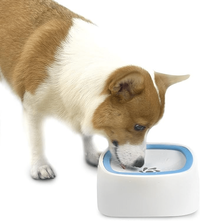 No Spill Pet Water Bowl - PawsiFypets - Grey PawsiFypets
