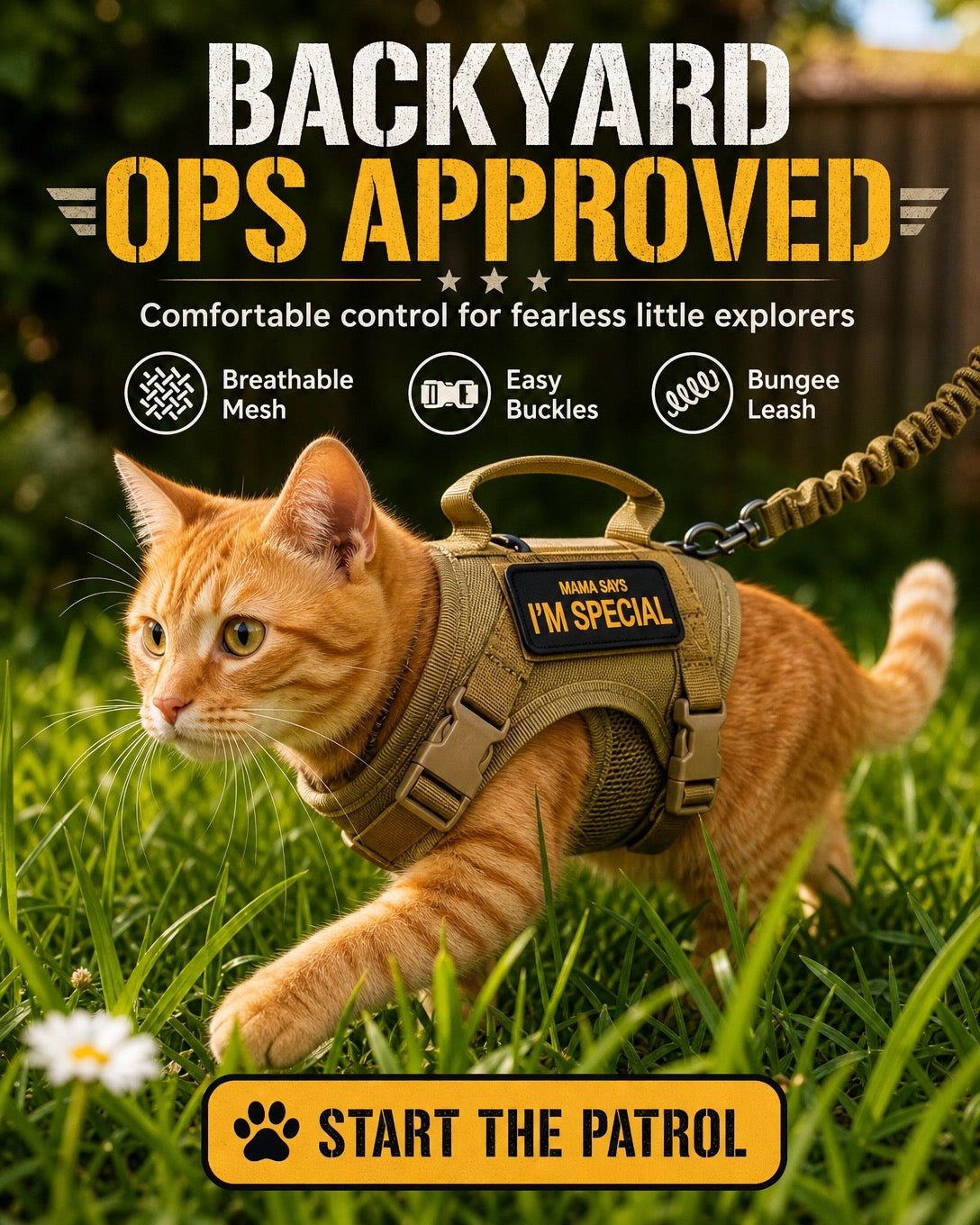 Pawsify™ Escape - Proof Adventure Tactical Cat Harness & Leash and patches Set with Handle - PawsiFypets