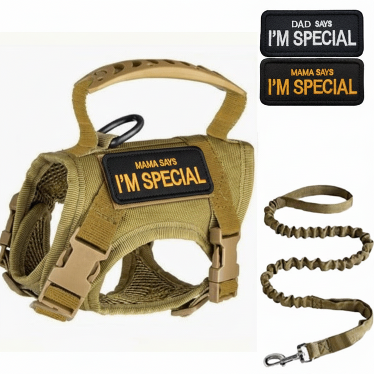 Pawsify™ Escape - Proof Tactical Cat Harness & Leash Set with Handle - PawsiFypets