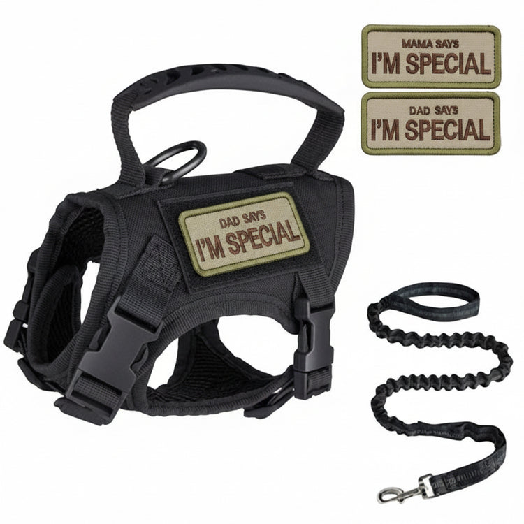 Pawsify™ Escape - Proof Tactical Cat Harness & Leash Set with Handle - PawsiFypets