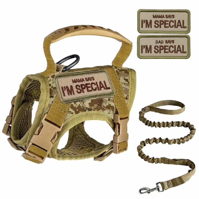 Pawsify™ Escape - Proof Tactical Cat Harness & Leash Set with Handle - PawsiFypets