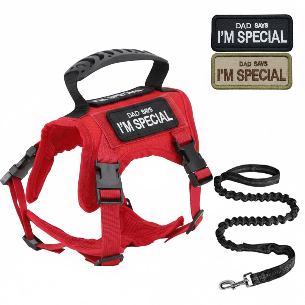 Pawsify™ Escape - Proof Tactical Cat Harness & Leash Set with Handle - PawsiFypets