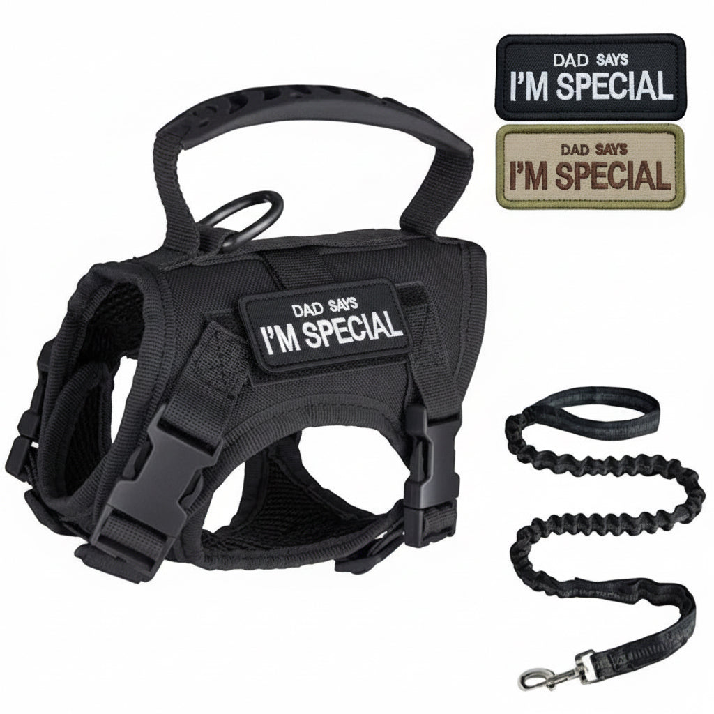 Pawsify™ Escape - Proof Tactical Cat Harness & Leash Set with Handle - PawsiFypets