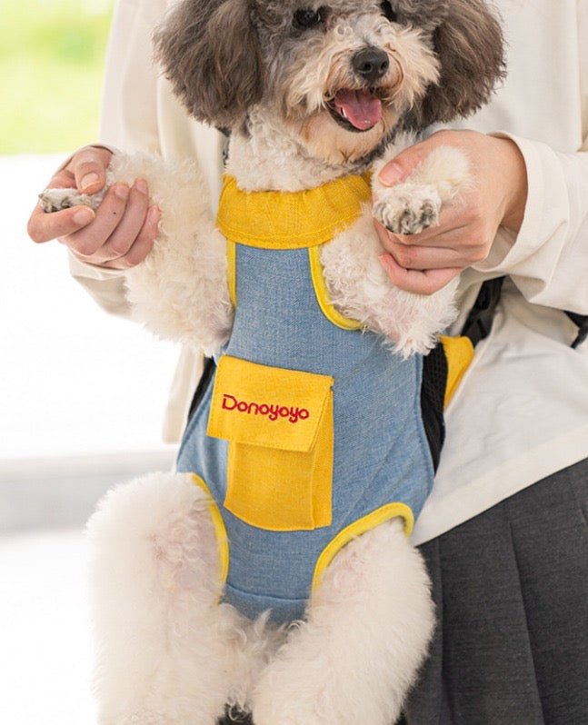 Pawsify™ Expandable Pet Carrier Backpack - Adventure, Walks & Travel | Cats & Small Dogs - PawsiFypets