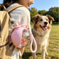 Pawsify™ Portable Dog Water Bottle – Leak - Proof Travel Water Bottle for Dogs - PawsiFypets
