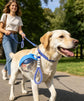 Pawsify™ Portable Dog Water Bottle – Leak - Proof Travel Water Bottle for Dogs - PawsiFypets