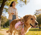 Pawsify™ Portable Dog Water Bottle – Leak - Proof Travel Water Bottle for Dogs - PawsiFypets