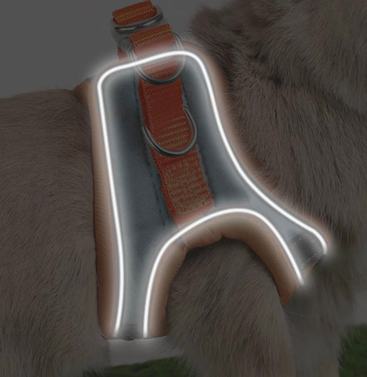 Pawsify™ Step-In Anti-Escape Reflective Cat Harness & Leash is perfect for outdoor adventures - PawsiFypets