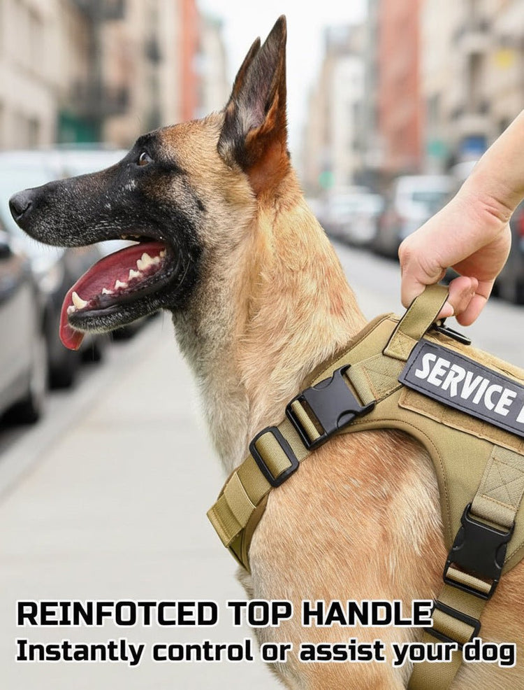 Pawsify™ Tactical Service Dog Harness Bundle | No - Pull & Escape - Proof - PawsiFypets