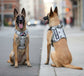 Pawsify™ Tactical Service Dog Harness Bundle | No - Pull & Escape - Proof - PawsiFypets