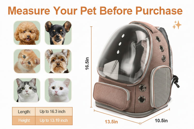 Pet Carrier Backpack | Transparent Space Capsule Window for Cats & Small Dogs - PawsiFypets