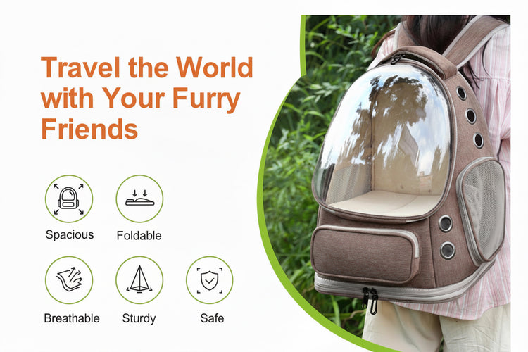 Pet backpack carrier with transparent front, held by a person outdoors, pawsifypets
