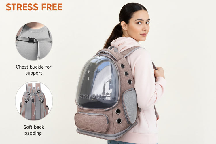 Person wearing a pet carrier backpack with features highlighted on a white background Pawsifypets 
